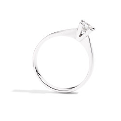 Anello Recarlo - R30SO265