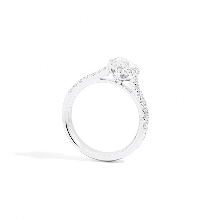 Anello Recarlo - R67SC022